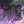 God Tier Vol. 2 From Darkness