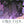 God Tier Vol. 2 From Darkness